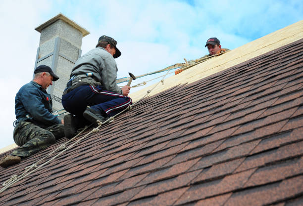 Roof Gutter Cleaning in Hawthorne, FL
